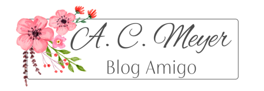 blog-amigo (1)
